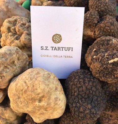 S.Z.TARTUFI DI ZACCARDI E SERAFINI SNC - Verified Premium supplier and manufacturer from 이탈리아