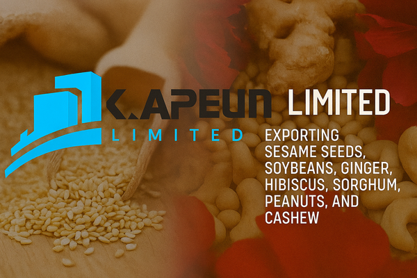 KAPEUN LIMITED - Verified Premium supplier and manufacturer from 나이지리아