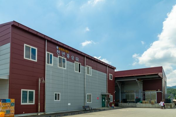 Agricultural chunnyeon red ginseng Co,.LTD - Verified supplier and manufacturer from 대한민국