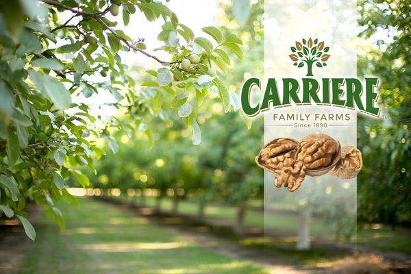 Carriere Family Farms - Verified supplier and manufacturer from 미국