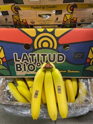 Latbio - Verified Premium supplier and manufacturer from Ecuador