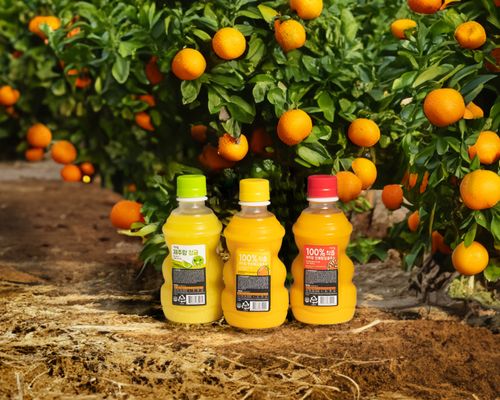 Biojeju.Co.Ltd - Verified Premium supplier and manufacturer from 대한민국