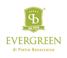 Evergreen - Verified Premium supplier and manufacturer from 이탈리아