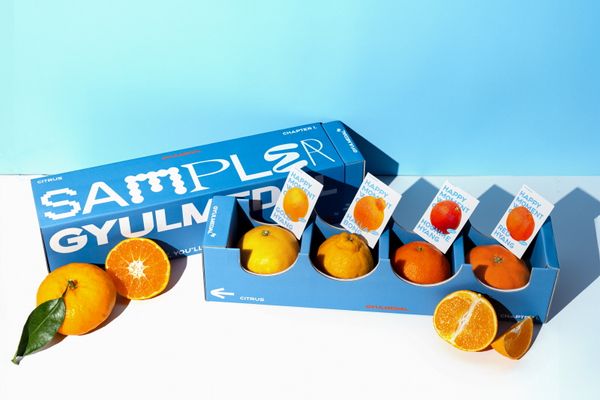 Gyulmedal - Verified Premium supplier and manufacturer from 대한민국