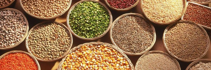 CKP Products Ltd - supplier and manufacturer from 인도
