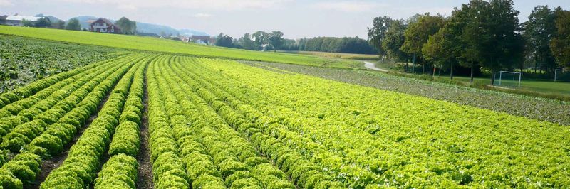 STOCKNER - supplier and manufacturer from Germany