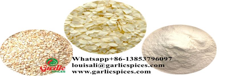 ROC - supplier and manufacturer from China