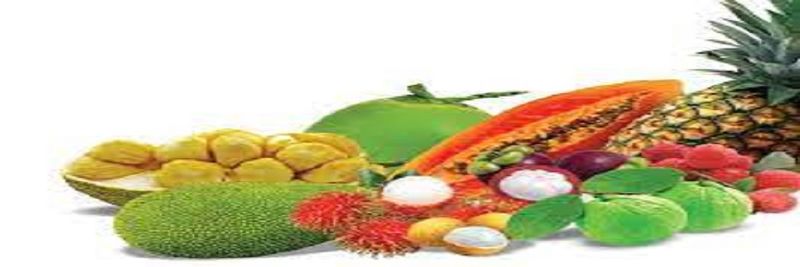 New Lamthong Foods - supplier and manufacturer from 캄보디아