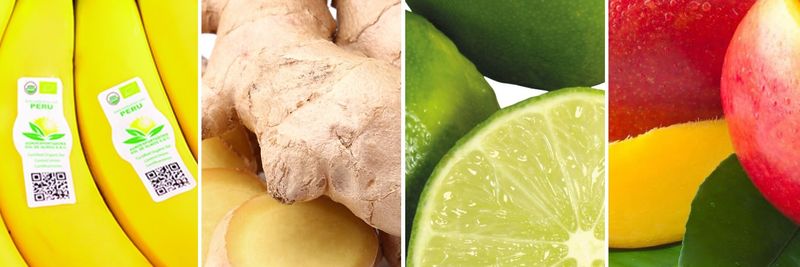 Agroexportadora Sol De Olmos S.A.C. - supplier and manufacturer from 페루