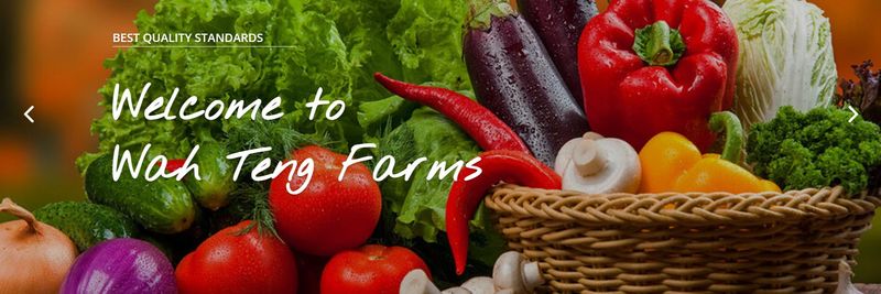 Wah Teng Produce Ltd. - supplier and manufacturer from Canada