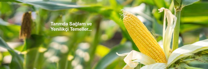 Yiğit Tarım - supplier and manufacturer from 튀르키예