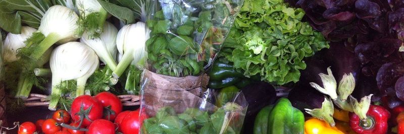 Logically Organic - supplier and manufacturer from Germany