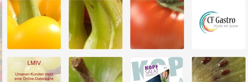 Matthies & Söhne Fruchtimport GmbH - supplier and manufacturer from 독일