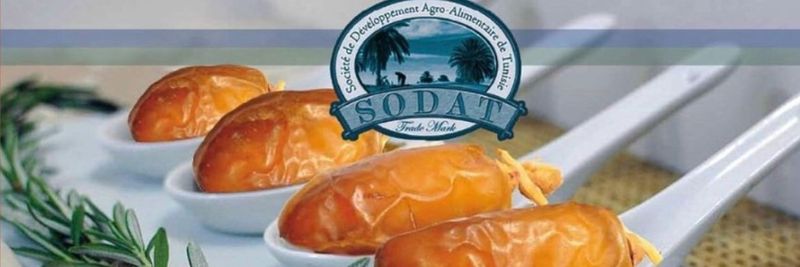 SODAT - supplier and manufacturer from Tunisia