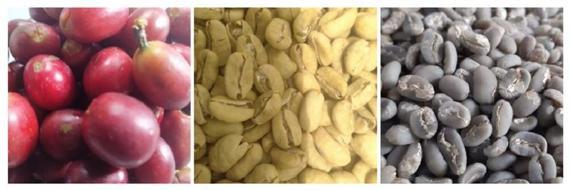 CV Hikari Jaya - Verified supplier and manufacturer from Indonesia