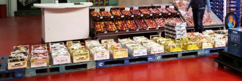 Guido fruit - supplier and manufacturer from 벨기에