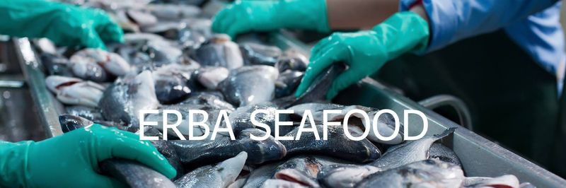 ERBA SEAFOOD - supplier and manufacturer from Turkiye