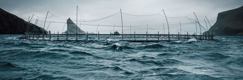 Luna (HiddenFjord) - supplier and manufacturer from Faroe Islands