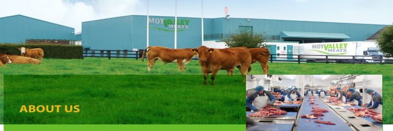 Moyvalley Meats - supplier and manufacturer from 아일랜드