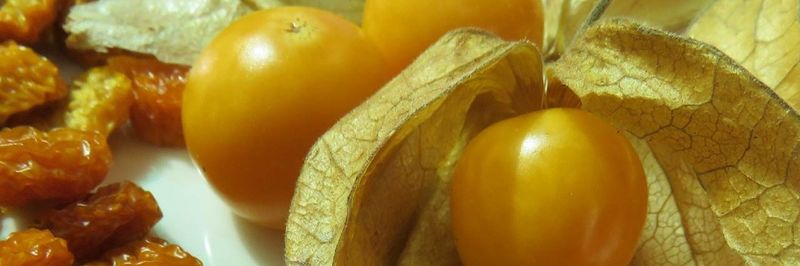 Agroandino S.R.L. - supplier and manufacturer from 페루