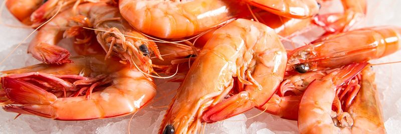PROCESADORA Y EXPORTADORA DE MARISCOS S.A. - supplier and manufacturer from 에콰도르