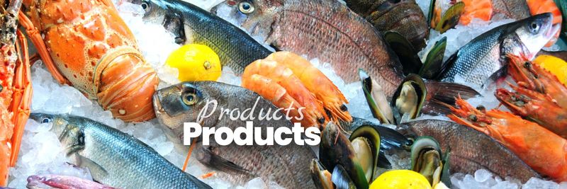 SOVAPEC - supplier and manufacturer from 모로코