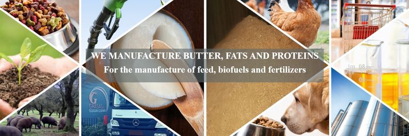 Grasas del Guadalquivir - supplier and manufacturer from Spain