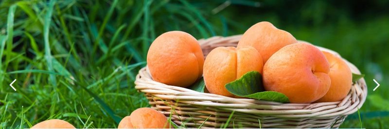 Mast Foods S.A. - supplier and manufacturer from 그리스