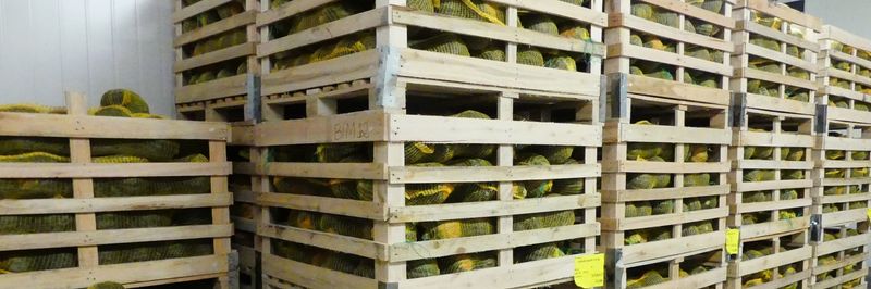 Mitrofresh BV - supplier and manufacturer from 네덜란드
