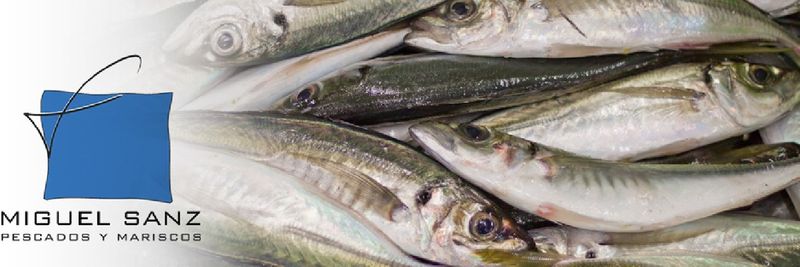 Miguel Sanz S.l. Pescados Y Mariscos - supplier and manufacturer from 스페인