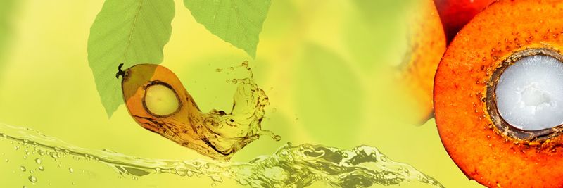 Timur Oleochemicals Malaysia - supplier and manufacturer from 말레이시아