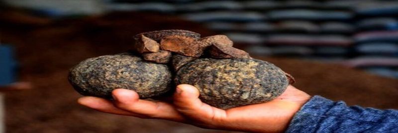 AGRICOLAS Y FORESTALES S.A.C. - supplier and manufacturer from Peru