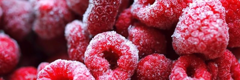 KONFIDO FROZEN FOODS LTD. - supplier and manufacturer from 튀르키예