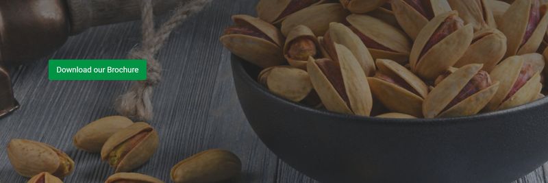 Horizon Foods Industry - supplier and manufacturer from 캐나다