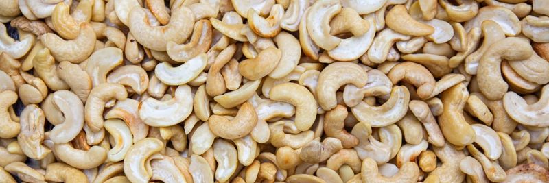 Greenlife Cashew Exports LTDA - supplier and manufacturer from 브라질