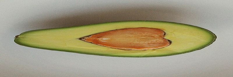 Frutas J. A. Mourinho, Lda - supplier and manufacturer from 포르투갈