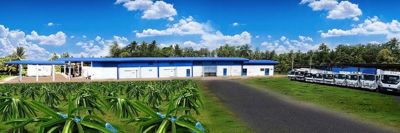 P.N. Fernando & Company (Pvt) Ltd. - supplier and manufacturer from 스리랑카