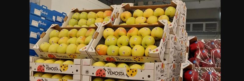 Centro frutta castiglione - supplier and manufacturer from 이탈리아
