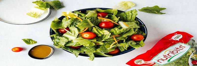 FOOD SOLUTIONS, S.A. DE C.V. - supplier and manufacturer from 멕시코