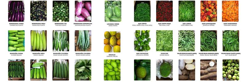 KP EXPORT SRL - supplier and manufacturer from 도미니카공화국