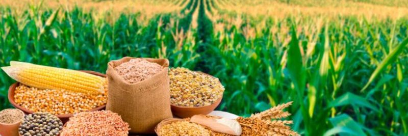 Grain Pool - supplier and manufacturer from 카자흐스탄