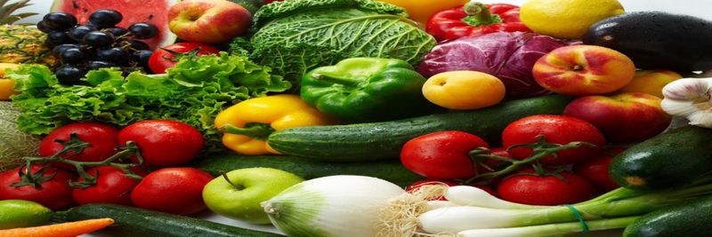 Heirloom Supply Success - supplier and manufacturer from 미국