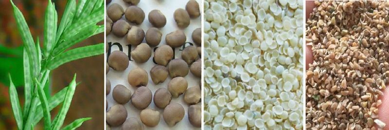 Meghraj International - supplier and manufacturer from 인도