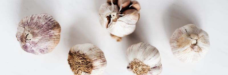 Domi Garlic Kft. - supplier and manufacturer from 헝가리