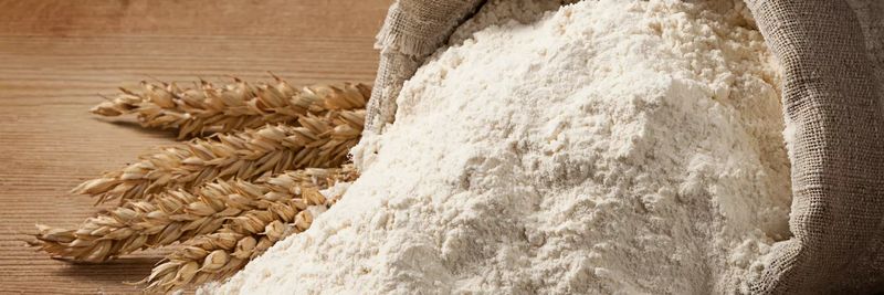 Wiesbauer Mill - supplier and manufacturer from 오스트리아