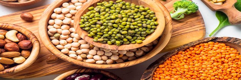 AME Nutrition - supplier and manufacturer from United States