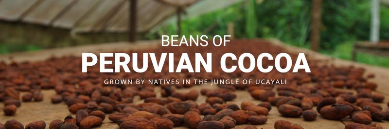 Dried Foods Peru S.A.C - supplier and manufacturer from 페루