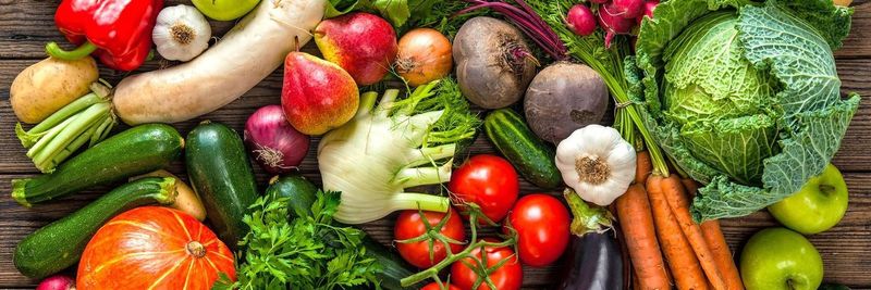 Gesund & Munter eK - supplier and manufacturer from Germany