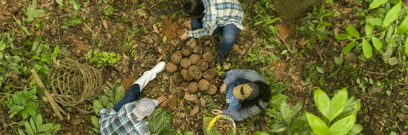 AMAZONIAN´S SUPER FOODS CORPORATION S.A.C. - CSA CORP - Verified supplier and manufacturer from 페루