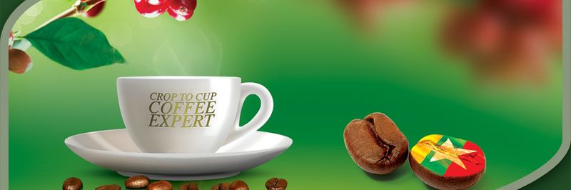 Sithar Coffee Co., Ltd - supplier and manufacturer from 미얀마 [버마]